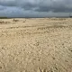 *Commercial* : 1,000sqm *Estate-in-Estate* : 3,000sqm | 5,000sqm