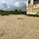 *Commercial* : 1,000sqm *Estate-in-Estate* : 3,000sqm | 5,000sqm