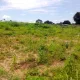 Land picture