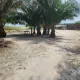 Dry land for sale in banana island.