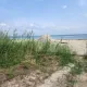 Dry land for sale in banana island.