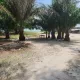 Dry land for sale in banana island.