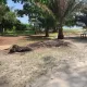 Dry land for sale in banana island.