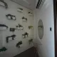 Furnished Luxury 3 -BEDROOM FLAT FOR RENT!