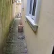 4 bedroom semi detached duplex with bq for rent in  location: Ologolo.