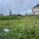 Land available for long lease 