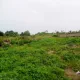 Picture of the land