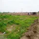Picture of the land