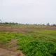 Picture of the land