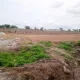 Picture of the land